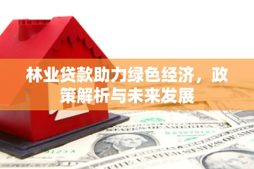 环江林业贷款助力绿色经济，政策解析与未来发展