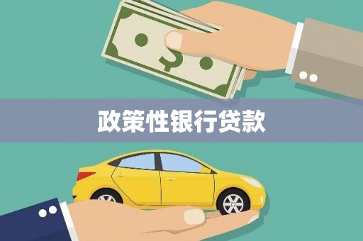 环江政策性银行贷款