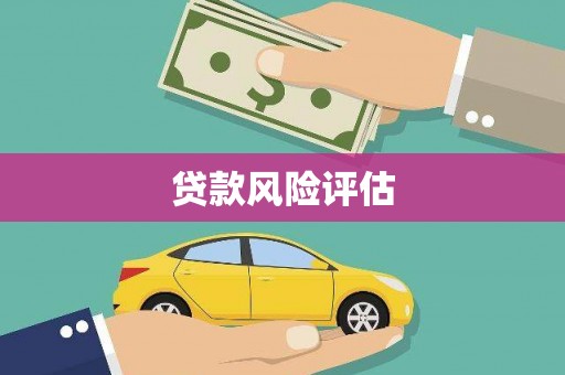 环江贷款风险评估