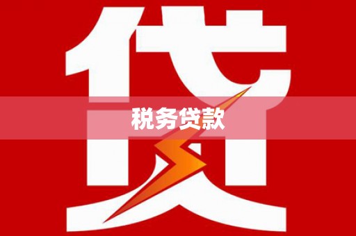 环江税务贷款