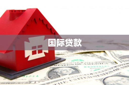 环江国际贷款