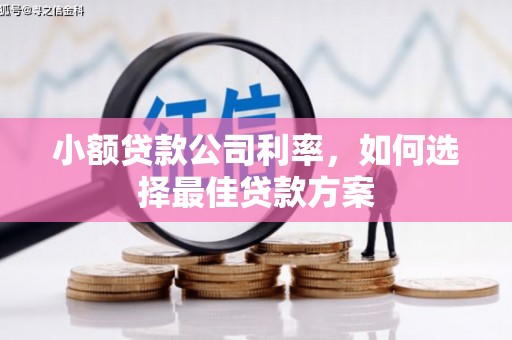 环江小额贷款公司利率，如何选择最佳贷款方案