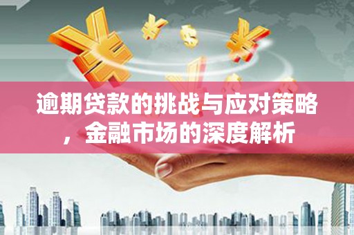 环江逾期贷款的挑战与应对策略，金融市场的深度解析