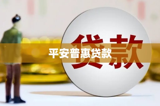 环江平安普惠贷款