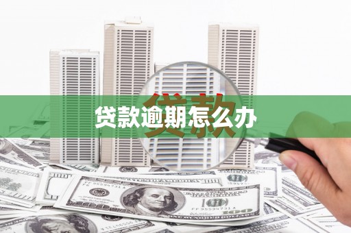 环江贷款逾期怎么办