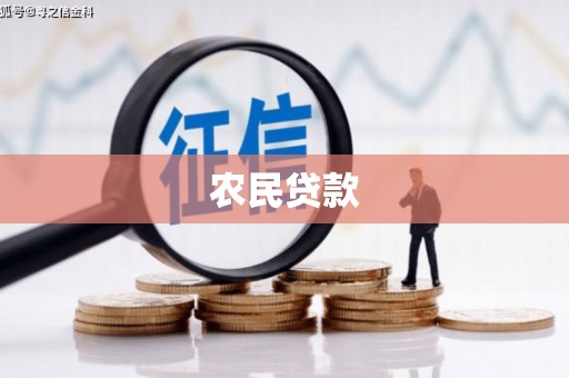 环江农民贷款
