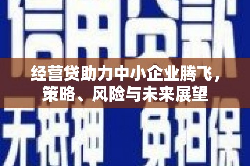 环江经营贷助力中小企业腾飞，策略、风险与未来展望