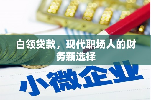环江白领贷款，现代职场人的财务新选择
