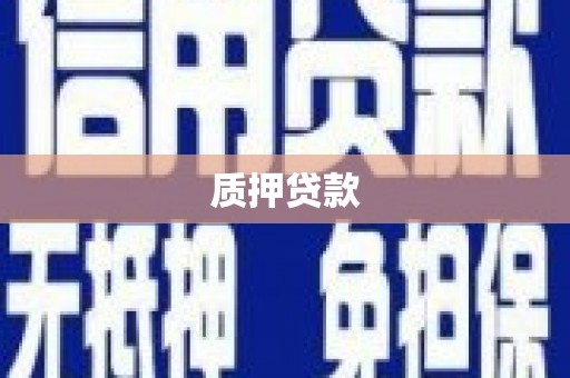 环江质押贷款