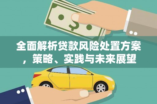 环江全面解析贷款风险处置方案，策略、实践与未来展望