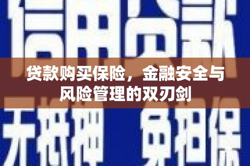 环江贷款购买保险，金融安全与风险管理的双刃剑