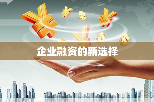 环江企业融资的新选择
