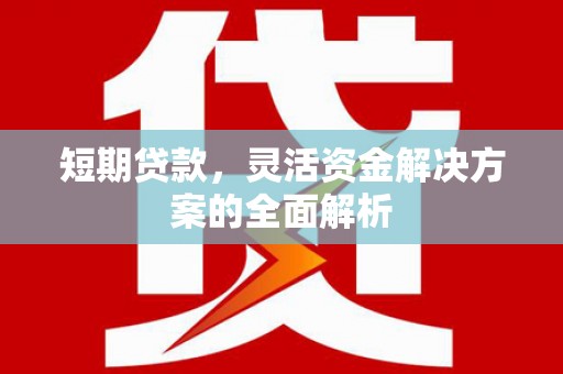 环江短期贷款，灵活资金解决方案的全面解析