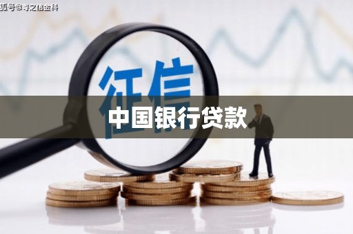 环江中国银行贷款
