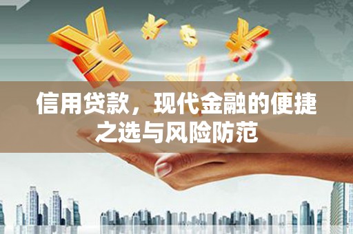 环江信用贷款，现代金融的便捷之选与风险防范