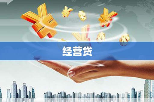 环江经营贷
