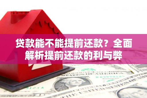 环江贷款能不能提前还款？全面解析提前还款的利与弊
