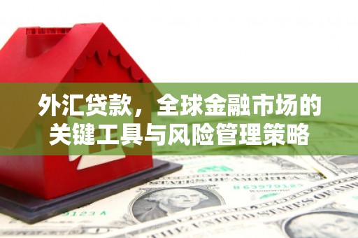 环江外汇贷款，全球金融市场的关键工具与风险管理策略