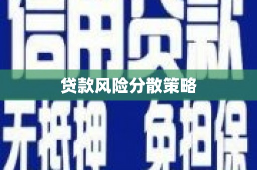 环江贷款风险分散策略