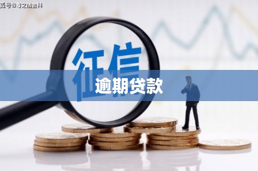 环江逾期贷款