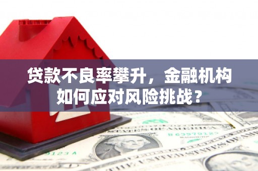 环江贷款不良率攀升，金融机构如何应对风险挑战？