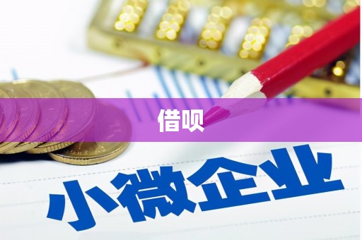 环江借呗