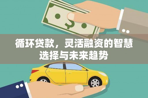 环江循环贷款，灵活融资的智慧选择与未来趋势