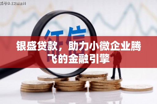 环江银盛贷款，助力小微企业腾飞的金融引擎