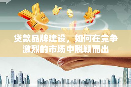 环江贷款品牌建设，如何在竞争激烈的市场中脱颖而出