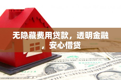 环江无隐藏费用贷款，透明金融，安心借贷