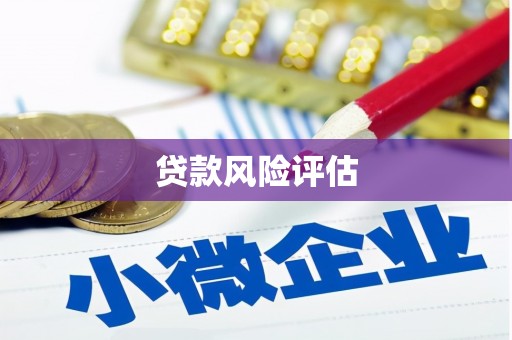 环江贷款风险评估