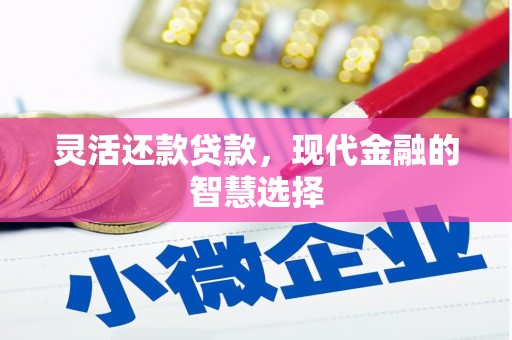 环江灵活还款贷款，现代金融的智慧选择