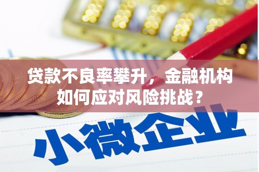 环江贷款不良率攀升，金融机构如何应对风险挑战？