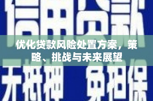 环江优化贷款风险处置方案，策略、挑战与未来展望