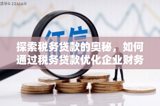 环江探索税务贷款的奥秘，如何通过税务贷款优化企业财务