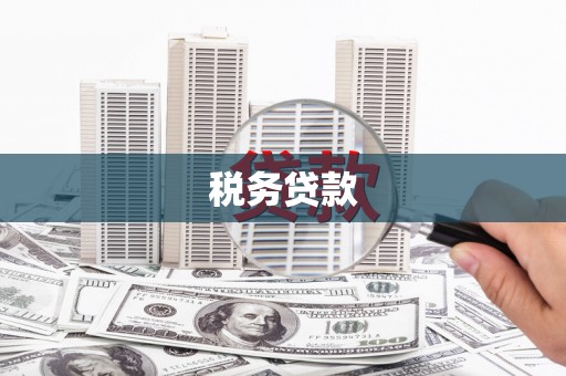 环江税务贷款