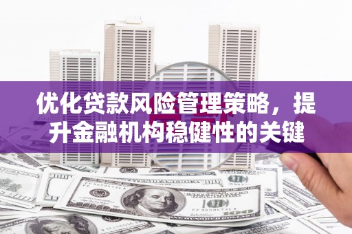 环江优化贷款风险管理策略，提升金融机构稳健性的关键