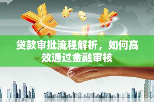 环江贷款审批流程解析，如何高效通过金融审核