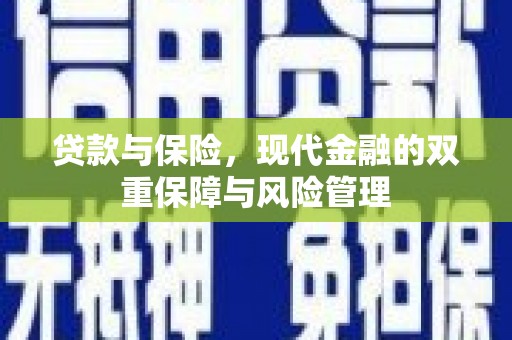 环江贷款与保险，现代金融的双重保障与风险管理