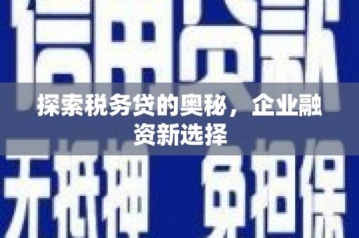 环江探索税务贷的奥秘，企业融资新选择