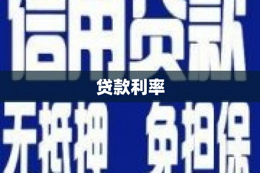 环江贷款利率