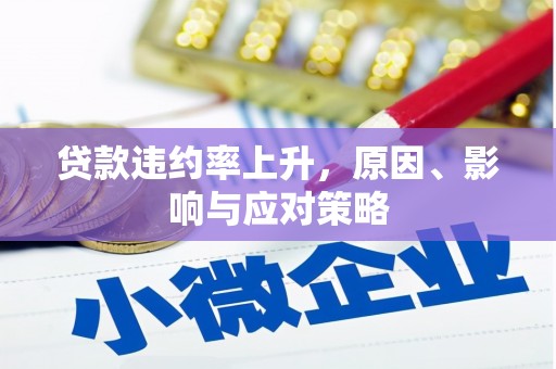 环江贷款违约率上升，原因、影响与应对策略