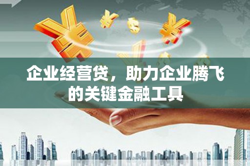 环江企业经营贷，助力企业腾飞的关键金融工具