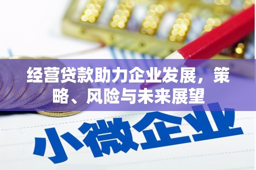环江经营贷款助力企业发展，策略、风险与未来展望