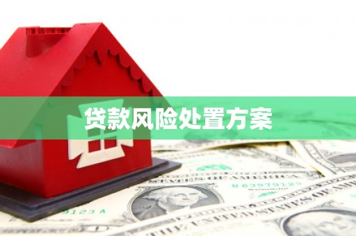 环江贷款风险处置方案