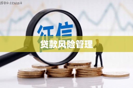 环江贷款风险管理