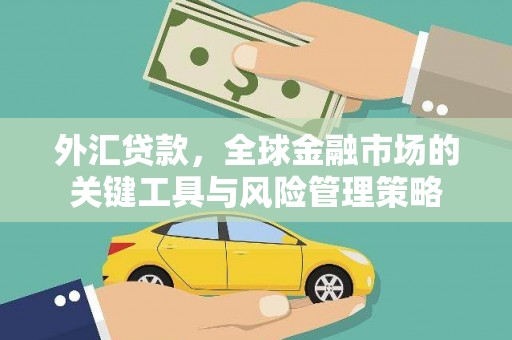 环江外汇贷款，全球金融市场的关键工具与风险管理策略