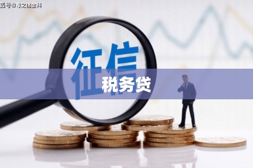 环江税务贷