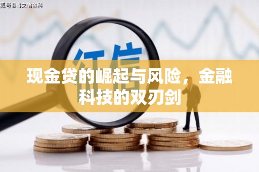 环江现金贷的崛起与风险，金融科技的双刃剑