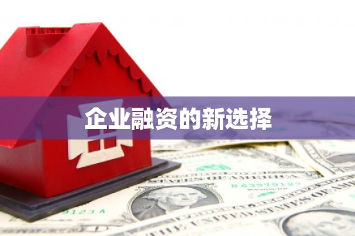 环江企业融资的新选择